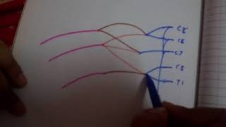 BRACHIAL plexus EASIEST drawing dont miss it [upl. by Bunch36]