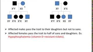 Pedigree analysis [upl. by Melmon993]