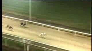 IGB  Here Comes Santa Claus A3 07122018 Race 8  Dundalk [upl. by Nim571]