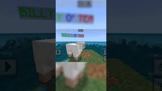 Billy o teawellermanMinecraft sheep meme minecraftmeme minecraft shortmemes shortvideo fypシ゚ [upl. by Nehgaem201]