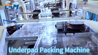 Underpad Packing Machine [upl. by Flossie]