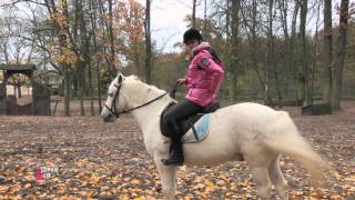 Travailler lobéissance du cheval  Equidia Life [upl. by Barthel222]