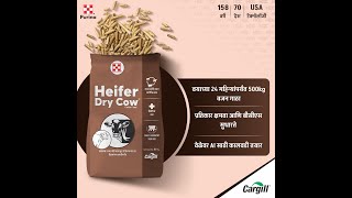 Heifer Dry Launch Video  Cattle Feed in Maharashtra  महाराष्ट्रातील पशुखाद्य [upl. by Esbenshade]