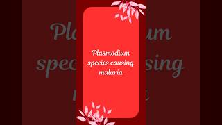 Plasmodium Species and Their Malaria Types A Quick Guide [upl. by Atsirt884]