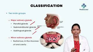 Discover the wonders of Salivary Glands 🦷💧 [upl. by Eniffit69]