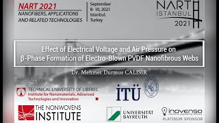 Temag  NART 21  PVDF Nanofibrous Webs for Piezoelectric Applications [upl. by Aihsat]