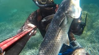 CHASSE SOUS MARINE EN CORSE SEPTEMBRE 2016😱 SPEARFISHING PESCA APNEA CORSICA [upl. by Attinahs]