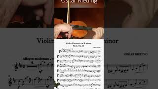 RIEDING CONCERTO Op 35 in B minor 1Mov  FREE VIOLIN EASY PLAY ALONG JL17 [upl. by Averat769]