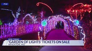 Ticket sales begin for Gaithersburgs Winter Lights Drive 2024 [upl. by Sarad]