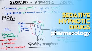 SedativeHypnotic drugs part 2 CNS pharmacology made EASY and QUICK [upl. by Keriann]