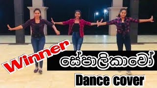 sepalikawochallenge sachininipunsala shehankaushalya Sepalikawo Dance Cover [upl. by Divd]