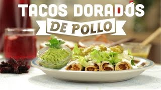 ¿Cómo preparar Tacos Dorados de Pollo  Cocina Fresca [upl. by Annaid]