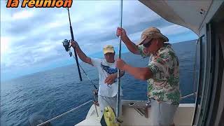 Pêche en mer Dorade Coryphène les plus belles Prisses Vidéo 974 [upl. by Naylor406]