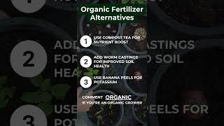 Organic Fertilizer Alternatives [upl. by Rheinlander]