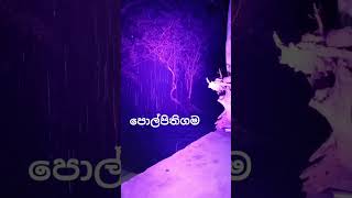 පොල්පිතිගම කොල්ලො subscribe කරන් යමු😍🤟🤟 [upl. by Airdnahc747]