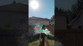 green ogre strike backyardcutting 2handedswordjapanesemartialarts japanesesword [upl. by Ahsek]