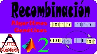 🔬 Recombinación implementado en Matlab [upl. by Adnalay130]