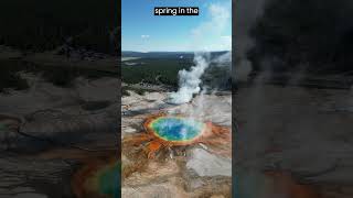 What makes the Yellowstone hot springs so colorful yellowstone hotspring tourism usa [upl. by Redlac]