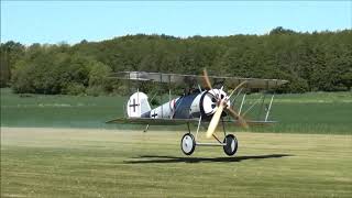 Mikael Carlson Pfalz DVIII  Maiden Flight [upl. by Averill]