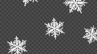 Snowflakes Falling Over Transparent Background Stock Motion Graphics [upl. by Enyehc428]