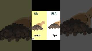 Vocabulary of UK and USA [upl. by Ahgiel]