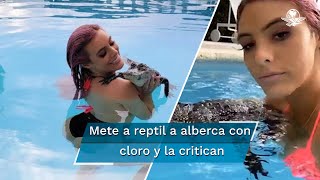 Lele Pons es acusada de maltrato animal por un video [upl. by Llenaj]