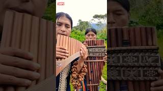 Raimy Salazar Official ❤️❤️ Sunpa flute music [upl. by Haroun]