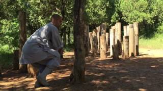 Entrenamiento tradicional de shaolin [upl. by Erroll57]