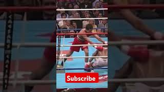 Pernell Whitaker 🇺🇲vs Oscar De La Hoya 🇲🇽 boxing subscribe viralvideo sports mexico [upl. by Aiuqet]