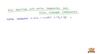 Chemical properties of Acids and Bases [upl. by Rednazxela]