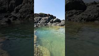 Piscinas naturales en Culebrita Culebra PR 🇵🇷 boricua isladelencanto puertorico [upl. by Ahsai888]