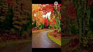 Gulam Ali best ghazals Best ghazals  beautiful layrics Best time ghazal old memories [upl. by Atikcir378]