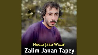 Zalim Janan Tapey [upl. by Latouche339]