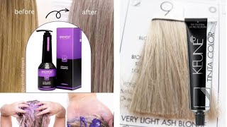 very light ash blonde hair color highlights shade 91 [upl. by Eramat]