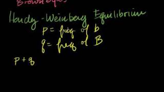 HardyWeinberg Principle [upl. by Higbee]