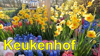 Keukenhof  The most beautiful spring garden in the world  2023 part 1 [upl. by Boj]