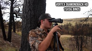 Vortex Diamondback HD 15x56 Bino Review  Testing on Muley amp Whitetail Hunts [upl. by Gavrilla]