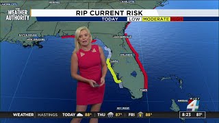 News4JAX Meteorologist Katie Garner is here with your full forecast [upl. by Norihs296]