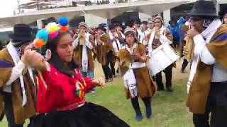 Conjunto de Zampoñas de San Marcos  V Encuentro Interuniversitario de Sikuris [upl. by Haskel]