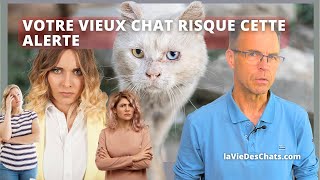 VOTRE VIEUX CHAT RISQUE CETTE ALERTE APRÈS SES 10 ANS [upl. by Clayborn]