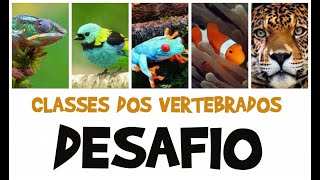 Desafio  CLASSES DOS ANIMAIS [upl. by Agnimod]