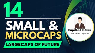 These 14 Micro and Smallcaps can be Largecaps of Future  Best Microcap amp Smallcap for Long Term [upl. by Gardas]