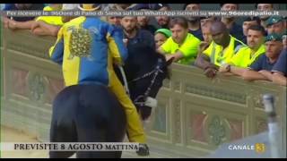 Previsite 8 agosto mattina  Marco Pepe  Palio 16 agosto 2017 [upl. by Nikral]