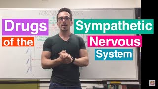 Adrenergic Drugs  Drugs of the Sympathetic Nervous System [upl. by Reffinnej]