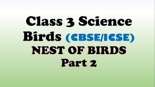 CBSE Class 3 Science Birds  Birds For Class 3  Nest Of Birds  CBSE Class 3 Birds Nest [upl. by Stroup]