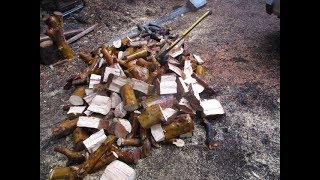 Pacific Madrona trees provide Best firewood [upl. by Eenolem]