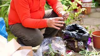 Moving Your Garden  8  Moving perennials [upl. by Danforth719]