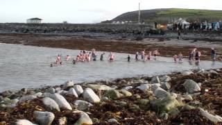 Christmas day swimmers in New Quay Ireland [upl. by Atikehs]