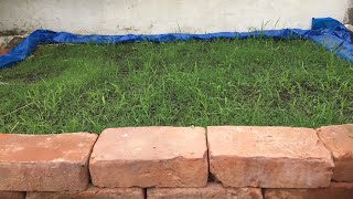 Update on my grass bed [upl. by Evangelia856]