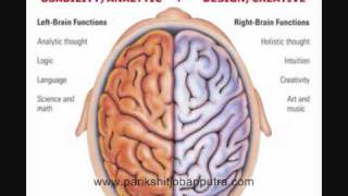 DMIT amp Multiple Intelligence Report by Parikshit Jobanputrawmv [upl. by Lehman]